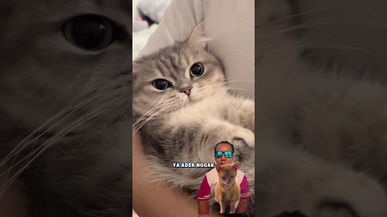 Panjul nurut kok mak 😊😊 