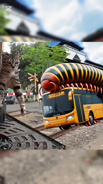 Kucing Kaget Ada bus Tayo Kaki seribu raksasa