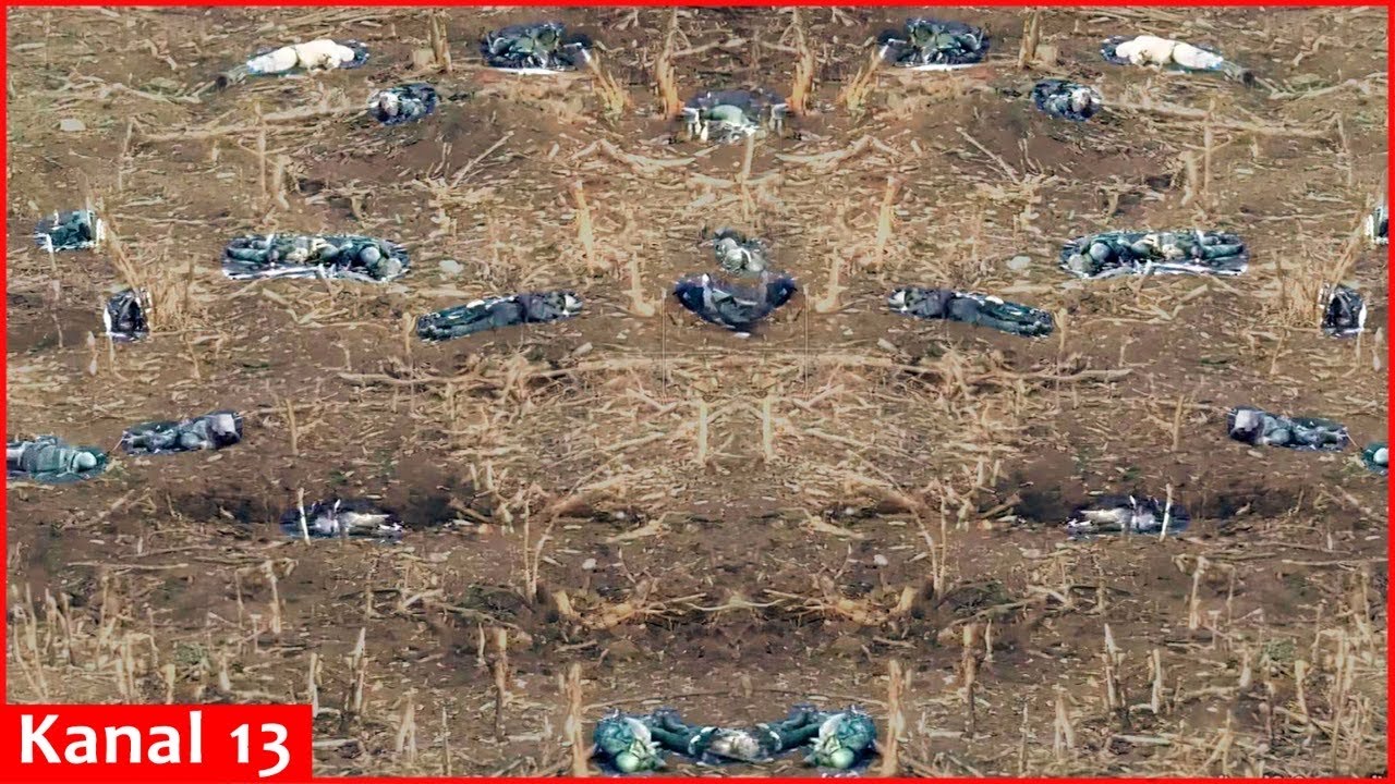 Revenge being taken: 530 Russian soldiers killed in past day - occupying army’s losses reach 115,000