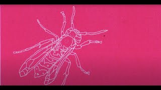 Condensed Matters: Swarm Intelligence