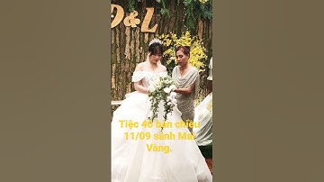 sảnh Mai Vàng chiều 11/09 tại nhà hàng tiệc cưới Nam Bộ.