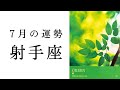【射手座💐7月の運勢】鳥肌が止まらないストーリー展開に😳ここから射手座さんの本領が発揮されていきます! 2024年下半期タロット占い