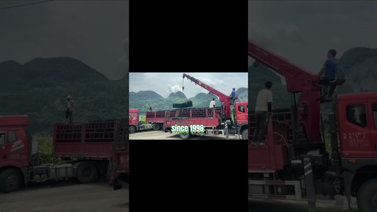 Gabion Machine Pioneer: JinLiDa Gabions Factory