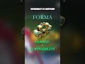 Maximize Your Build: Forma Simplified #warframe #warframecommunity #tennocreate #warframepc #gaming