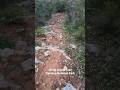 Ankle Breaker section #endurance #fitover40 #trailrun #matureathlete