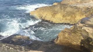 Bloxburg Fan Made Discord Server Link In Desc