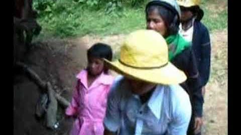 đám cưới Bru Vân Kiều