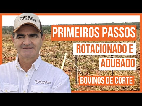 Como iniciar um Projeto de Pastejo Rotacionado Adubado para BOVINOS DE CORTE