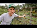 Dog Proofing Old Gate Before We Move Sheep