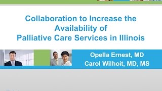 Collaboration to Increase the Availability of Palliative Care Services in Illinois