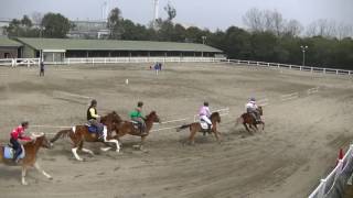 2017 0320 明石乗馬協会ポニーレース