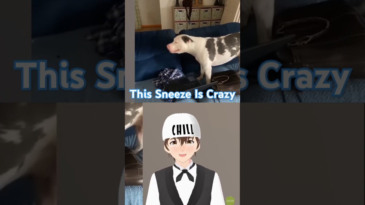 This Dog Has A Crezy Sneeze 