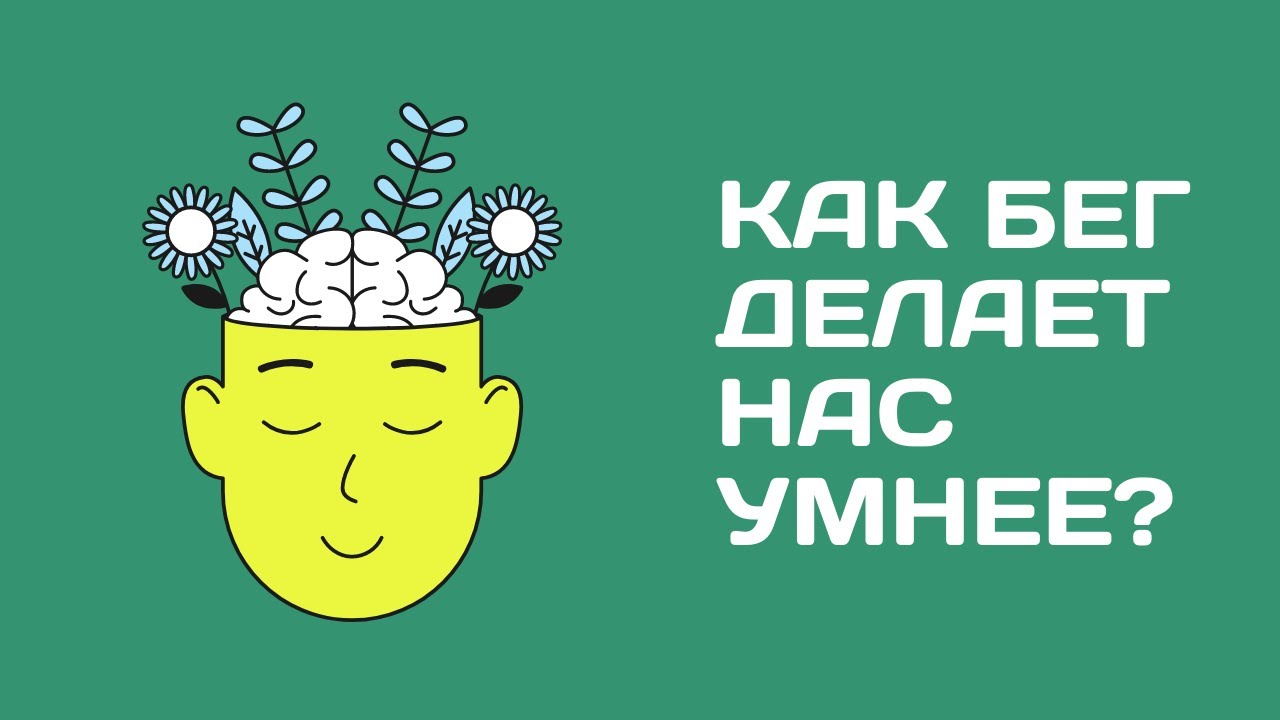 С3В1. Как бег делает нас умнее?