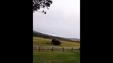 Cindy Wilbur Day 1 Video 1