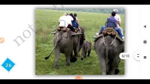 Class -4 NCERT Chapter -3 A Day with Nandu part -2 Full hindi explaination