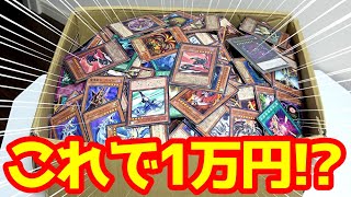 【遊戯王】重さ10kgもある処分品が１万円で売ってたので掘り出し物目当てで買ってみた結果・・まさかの内容に衝撃の連発ｯｯ！！！！！！！！！！！！