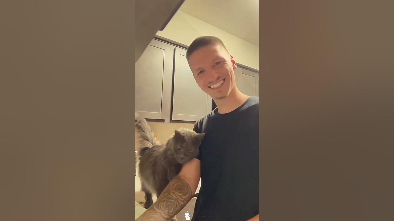 That cat fell in love with my husband😻🤣#cat#catsoftiktok#funny#fyp#usa🇺🇸 #funnytiktok#cats