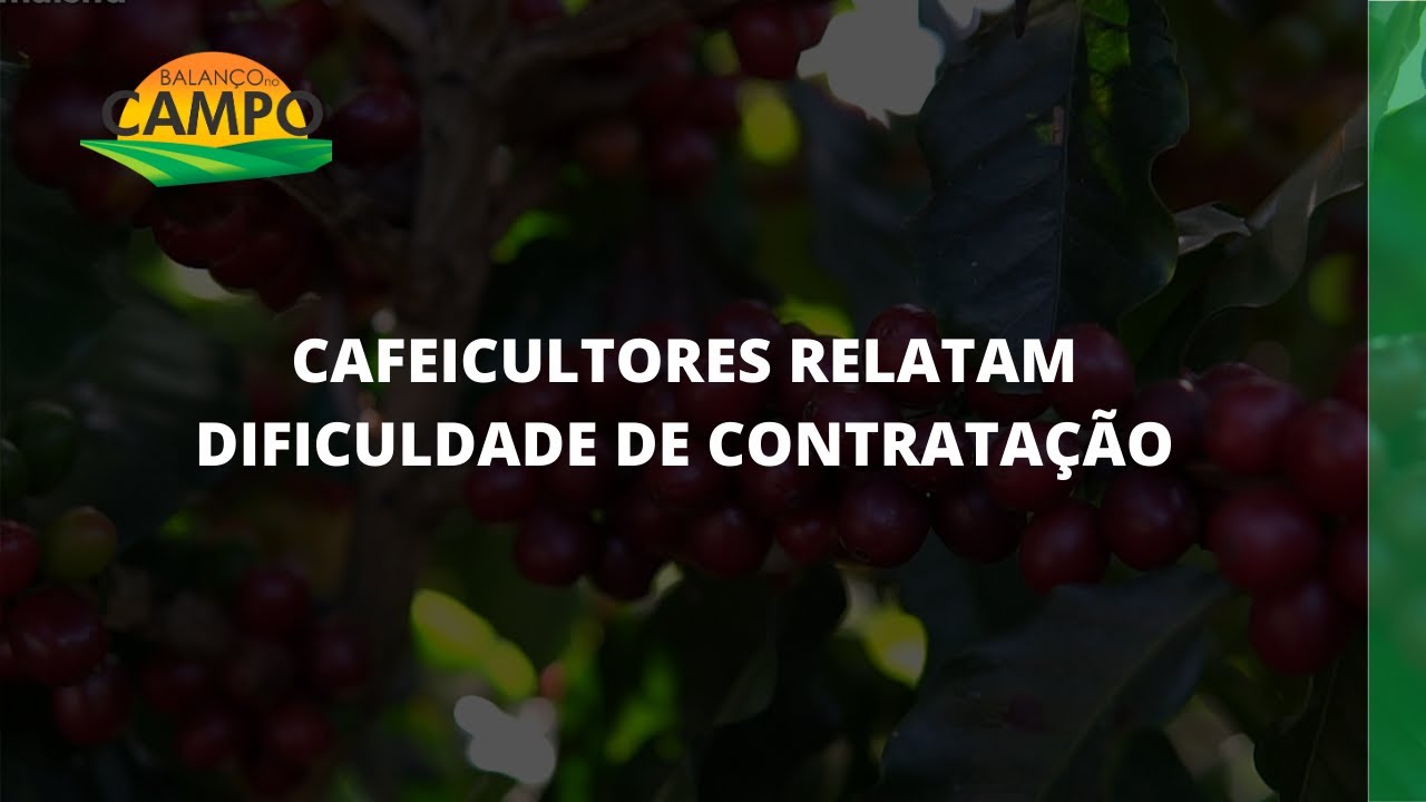 Porque Os Cafeicultores Passaram A Apoiar A República