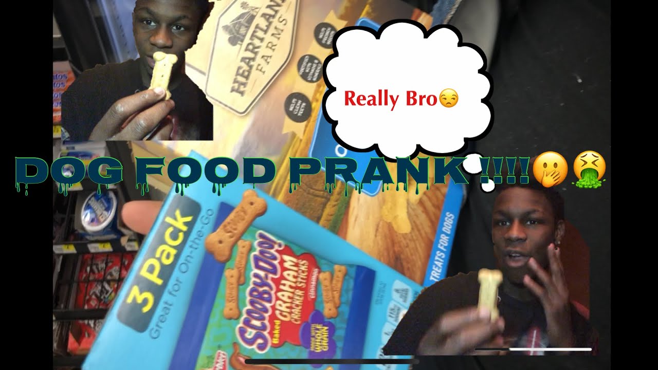 DOG FOOD PRANK ON COUSIN MUST WATCH!!😂😂 YouTube