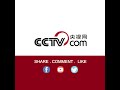 한국서 멧돼지 떼 도시 진입 '부딪치고 물어뜯어' |CCTV 한국어방송