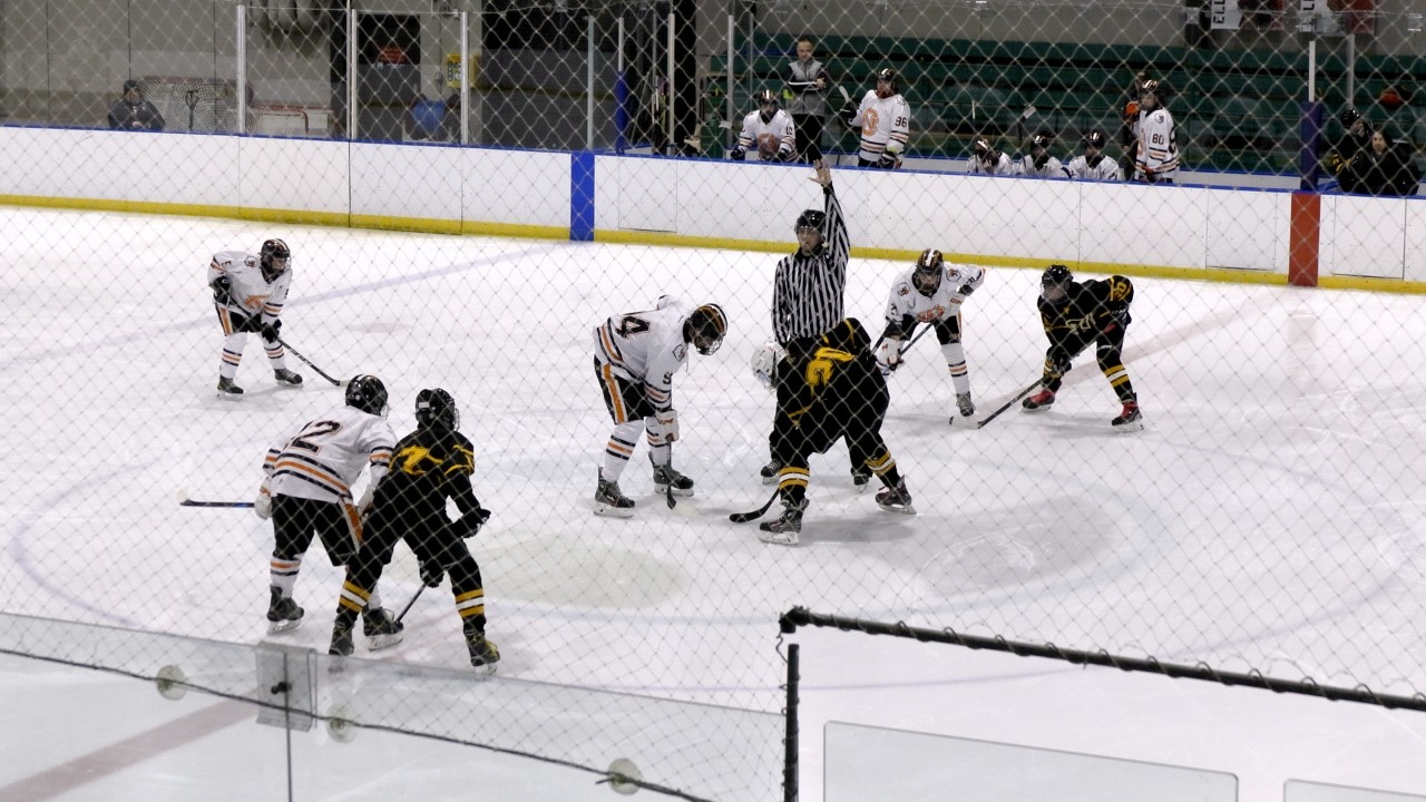 Cleveland Heights Tigers vs North Olmsted Eagles (OHSAA Hockey Playoff ...