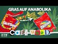 Cali weed  woher der hype um das hochgezchtete gras mit celo  abdi 65goonz sedowexx und locke