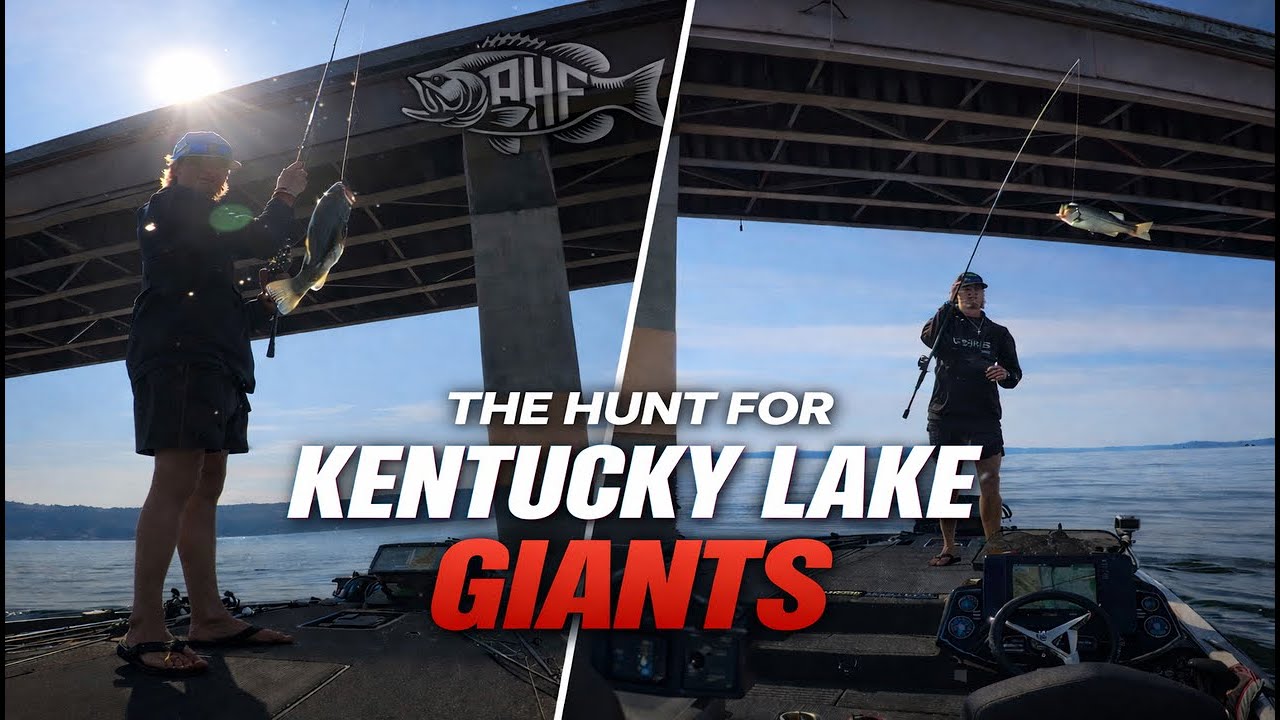 Hunting Kentucky Lake Giants | Can Bridge Fishing Pay Off? (2025)