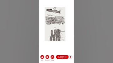 NCERT SOLUTION |CLASS 9|TISSUES|CBSE|NCERT#jaipur #viral #science #biology #biologyclass #tissue