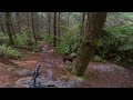 GoPro ; Downhill Mountain Bike Vs Dog