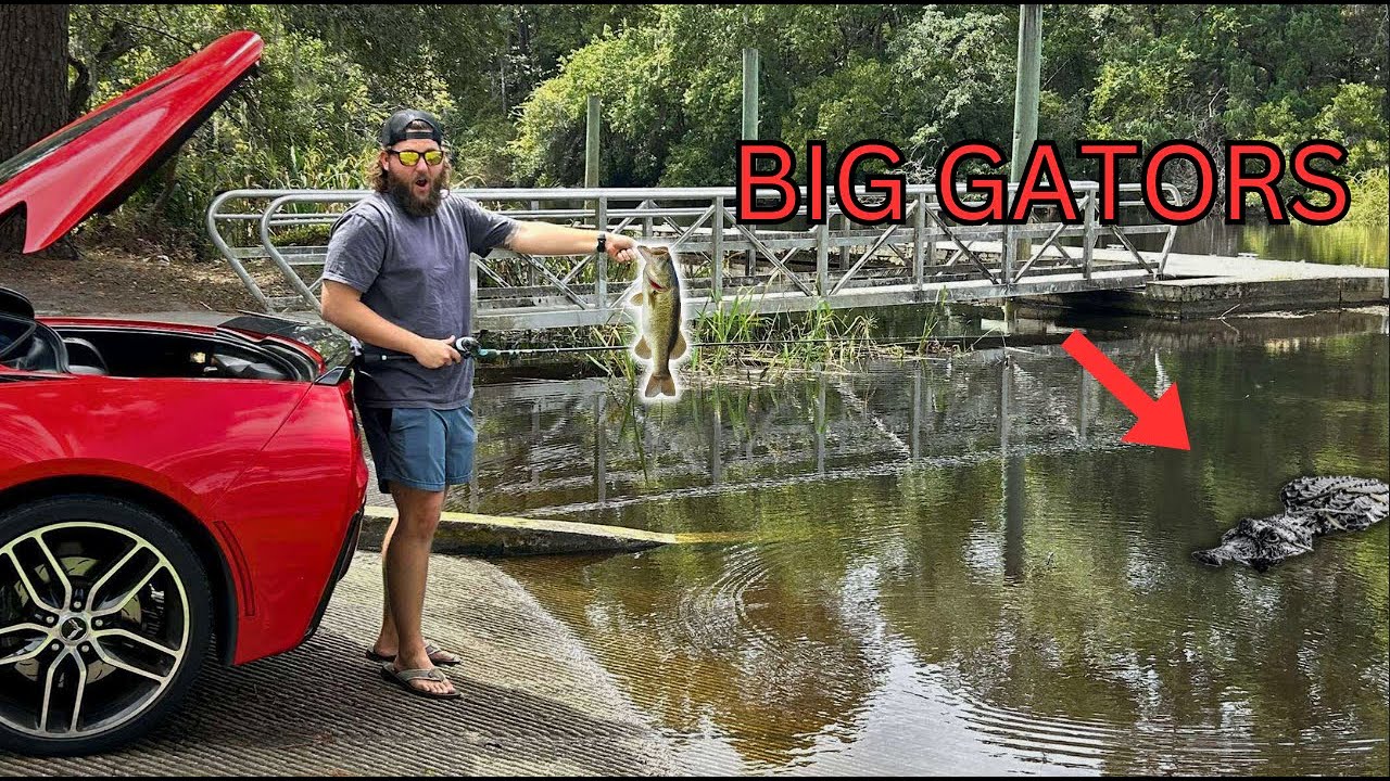 Bass fishing out of a Corvette around BIG Gators