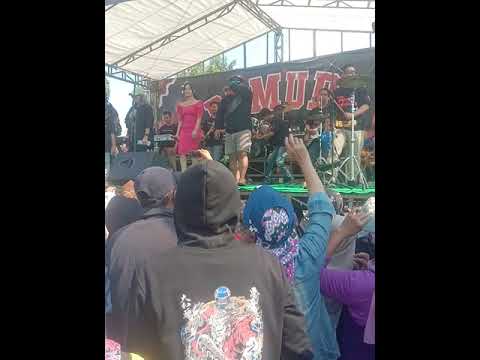 Tiara Amora Kdi New Pallapa - Cover - Nemu - om Putra Pedana - Banyutegah - Panceng Gresik