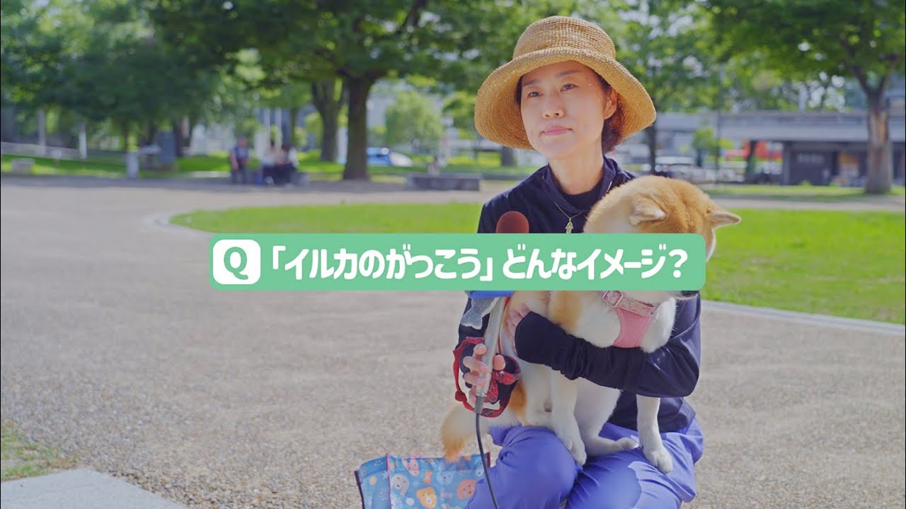 イルカのがっこう「どんなイメージ」篇 - YouTube