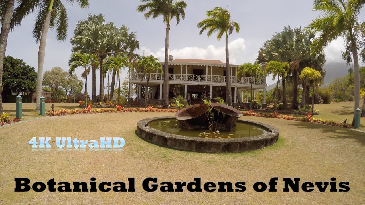 Image result for Botanical Gardens of Nevis