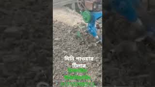 মন পওযরটলর