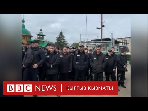 Video: 1812 -жылдагы согушка карата: Россия жана Швеция