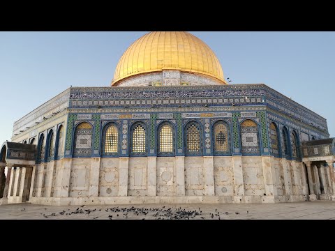 يا حمام المدينة سلم على حمام الأقصى O City Pigeon Greet The Pigeons Of Al Aqsa 