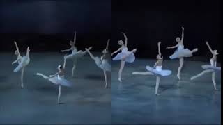 4羽の大きな白鳥達の踊り「白鳥の湖」マリインスキー Big Swans 
