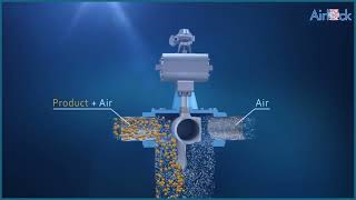 Airlock Scale Valve - SV A