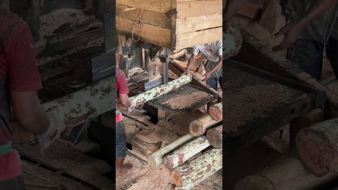 Achieving Precision in Wood Processing Insights from Sawmill Experts 