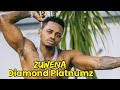 Diamond Platnumz ZUWENA Official Music Video 