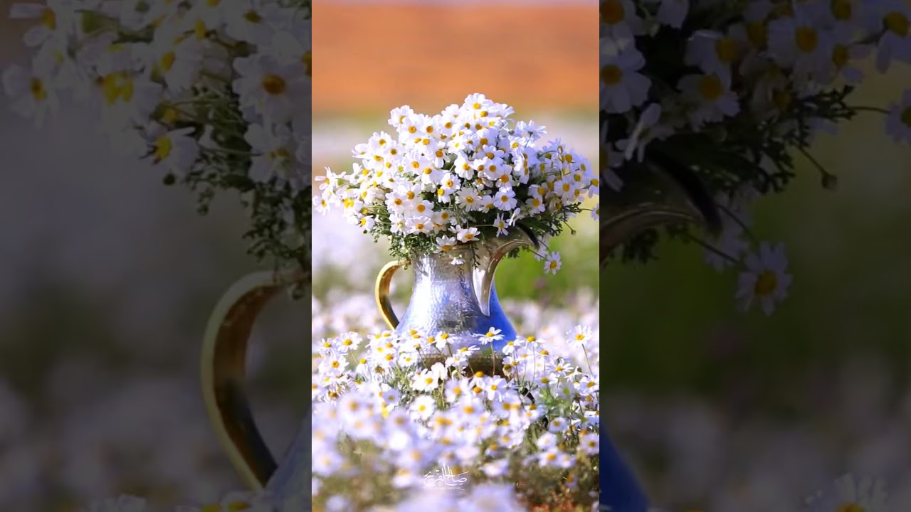 شيلة نجد العذيه كلمات د.تركي السكران اداء سعد الحربي