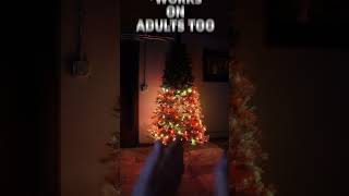 Govee Christmas Lights 2 #shorts #youtubeshorts #amazonfinds