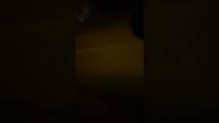 Dün Gece İçmişim Yine - Samsun Deplasman Dönüşü Unigfb