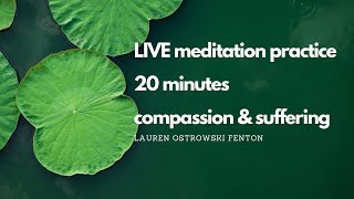 🔴 20 minutes, meditation practice, compassion through suffering number seven of seven