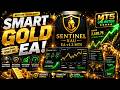 Sentinel XAU EA v1.2 MT5 Gold Trading Robot | Smart Risk Control