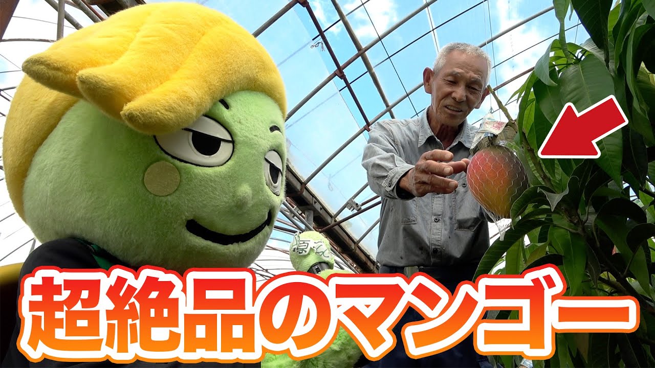 松原王子も絶賛！全国から注文を受ける大人気のマンゴーをご紹介【大崎