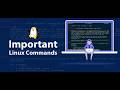 👉 Master Linux File Permissions & Ownership | chmod, chown, chgrp Explained Simply