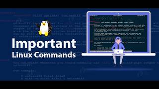 👉 Master Linux File Permissions & Ownership | chmod, chown, chgrp Explained Simply