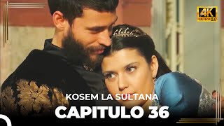 Kosem La Sultana | Capítulo 36 (4K)