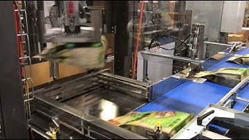 Top Load Case Packer - ITL 15, Bags of Pet Food - BW Integrated Systems